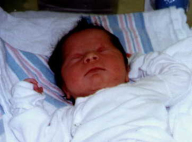 julia.jpg (31543 bytes)